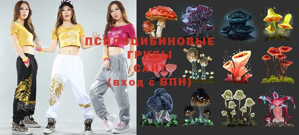 jwh Вяземский