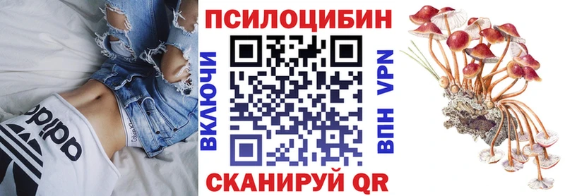 Галлюциногенные грибы GOLDEN TEACHER  цена   Дедовск 