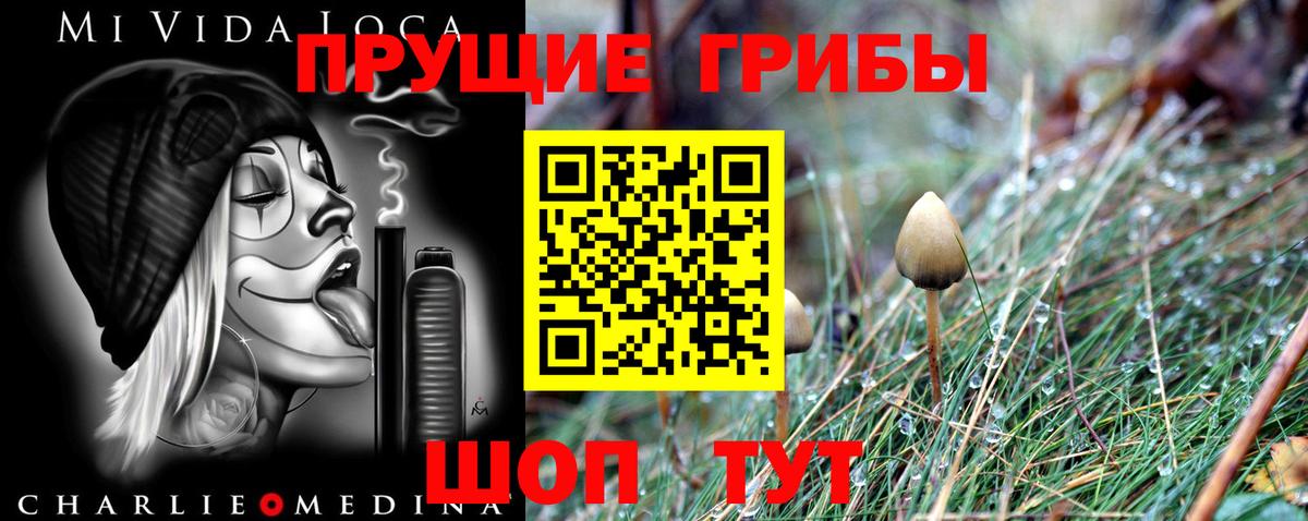 Галлюциногенные грибы Psilocybine cubensis Дедовск