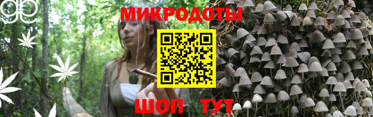 Псилоцибиновые грибы MAGIC MUSHROOMS Дедовск
